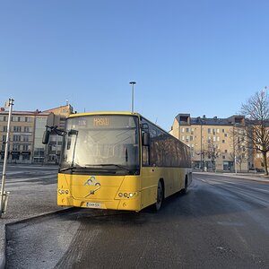 LS-Liikennelinjat 31