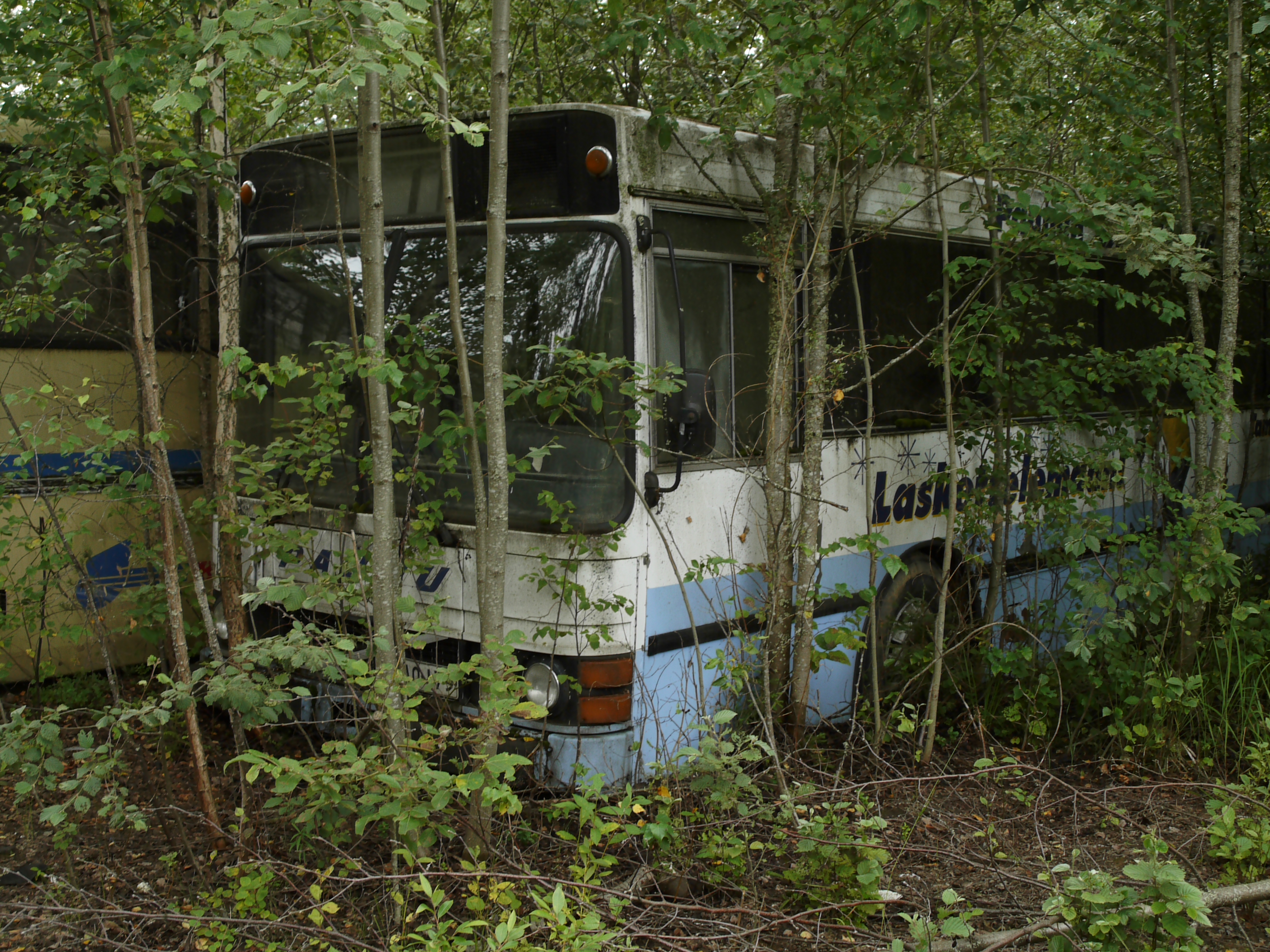 Ex Väinö Paunu 65