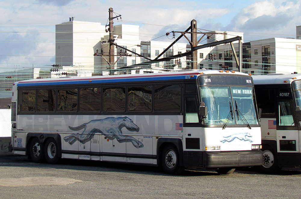 Greyhound 1079